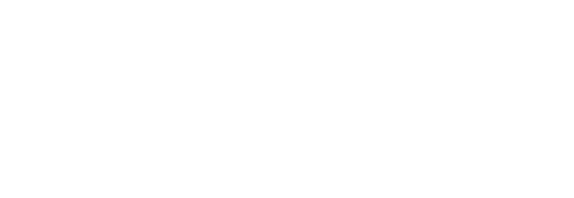 Mobius Award