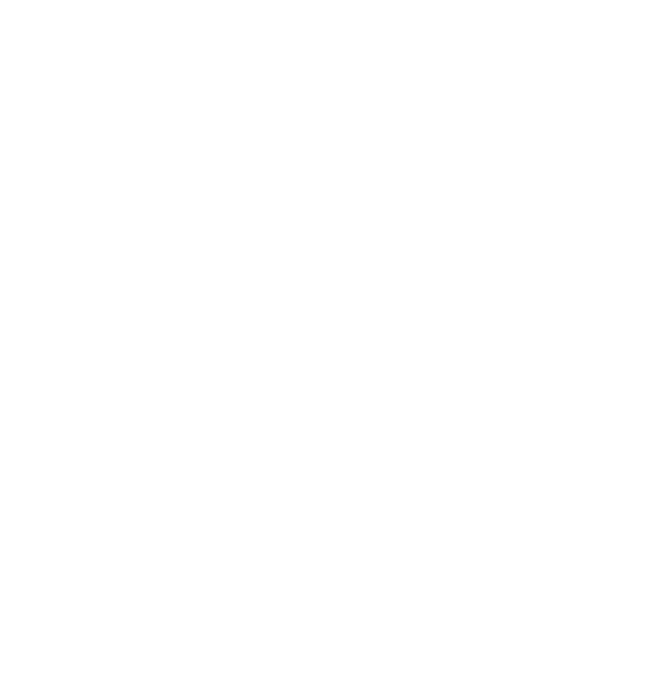 New York Festivals Silver Winner Award